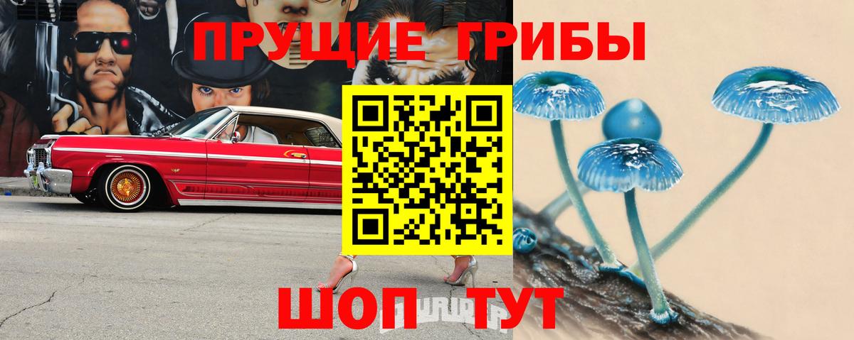 Галлюциногенные грибы мицелий Самара