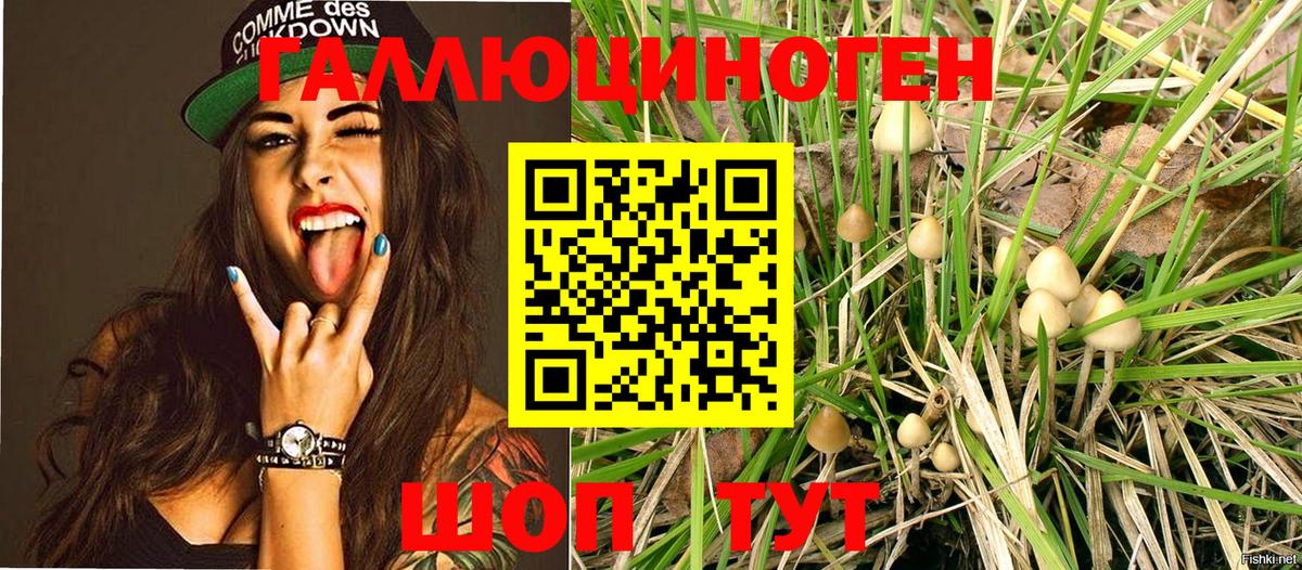 МАРИХУАНА  Вход с VPN  КОКАИН  ГЕРОИН  Меф МЯУ МЯУ   Мефедрон  ГАШ  Самара  ГАШИШ 
